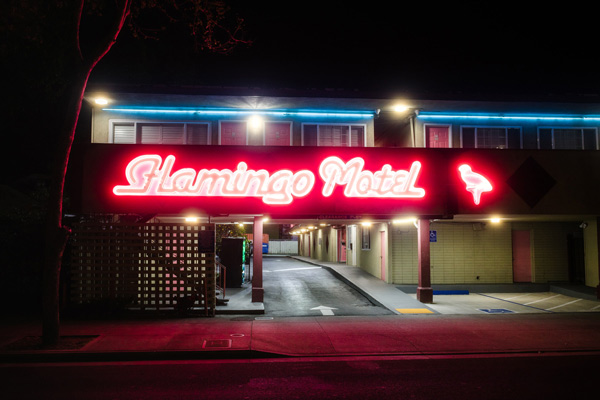 Hamingo Motel Light Box Signs in  , IL